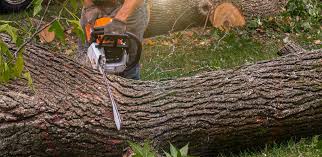 Best Aeration Services  in Enoch, UT